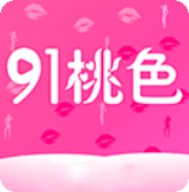 91轻量版官网链接ios