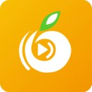 含羞草testflight