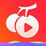 鉴黄师黄金版安装包下载地址