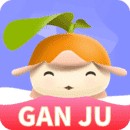 菠萝蜜视频播放器