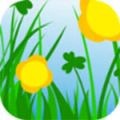 tata国际直播最新版