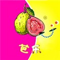草莓秋葵菠萝蜜黄瓜丝瓜绿巨人安卓版