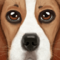 狗狗模拟器2UltDogSim下载